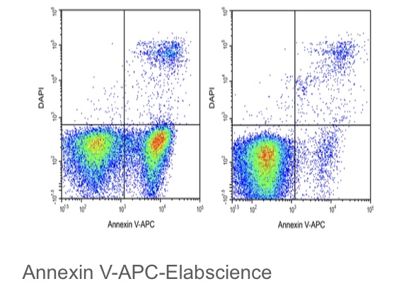 Elabscience® Annexin V-APC 染色液，E-CK-A117，适用荧光标记