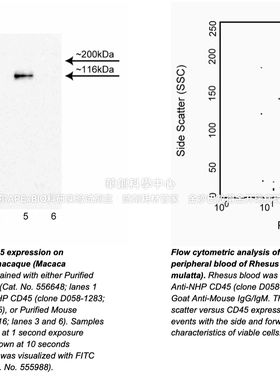 BD Pharmingen™ Purified Mouse Anti-NHP CD45抗体，货号552566