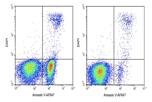 Elabscience®Annexin V-AF647/DAPI细胞凋亡检测试剂盒E-CK-A254