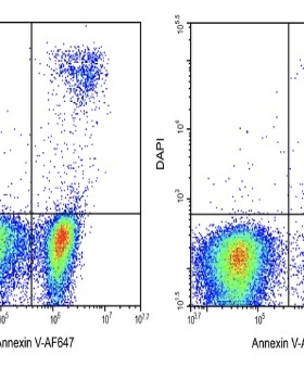 Elabscience®Annexin V-AF647/DAPI细胞凋亡检测试剂盒E-CK-A254