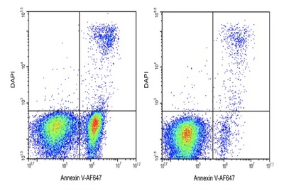 Elabscience®Annexin V-AF647/DAPI细胞凋亡检测试剂盒E-CK-A254