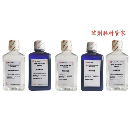 苏木素-伊红(H&E)高清恒染试剂盒 着色牢固 利于HE染色标准统一化