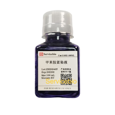 Servicebio神经组织/软骨/植物染液甲苯胺蓝染液 肥大/纤维素细胞