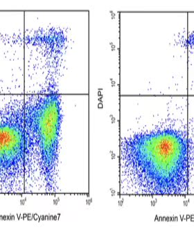 Elabscience®Annexin V-PE/Cyanine7/DAPI细胞凋亡检测E-CK-A268