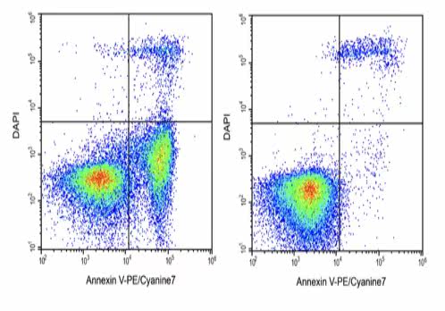 Elabscience®Annexin V-PE/Cyanine7/DAPI细胞凋亡检测E-CK-A268