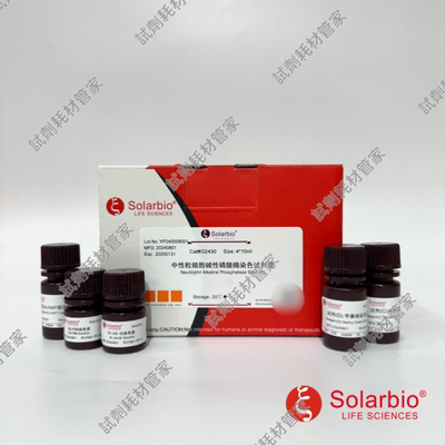 中性粒细胞碱性磷酸酶染色试剂盒 偶氮偶联法显示碱性磷酸酶活性