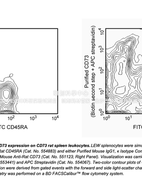 BD Pharmingen™ Purified Mouse Anti-Rat CD73抗体，货号551123