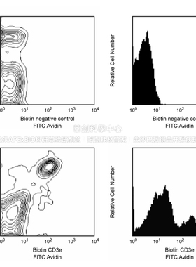 BD Pharmingen™Biotin Hamster Anti-Mouse CD3e，553059/553060