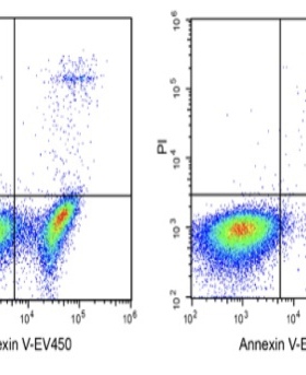 Elabscience细胞培养型Annexin V-EV450冻干粉E-CK-A133U荧光标记