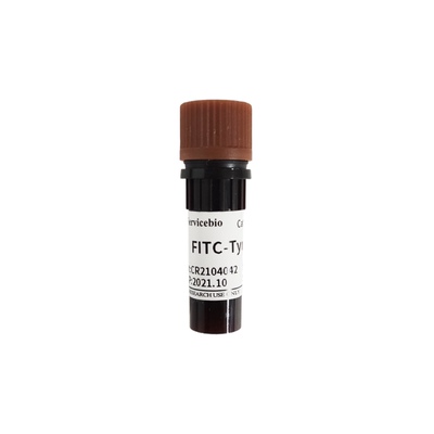 Servicebio FITC-Tyramide 用于酪胺信号放大技术 TSA技术 50μL