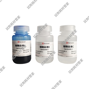 髓鞘染液 100mL 染色后,神经髓鞘呈蓝色,背景淡蓝色或近乎无色