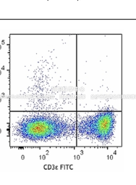 BioLegend PE/Dazzle™594抗小鼠CD183(CXCR3)抗体,155913/155914