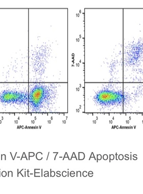 Elabscience®Annexin V-APC/7-AAD细胞凋亡检测试剂盒 E-CK-A218