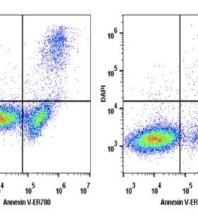 Elabscience®Annexin V-ER780/DAPI细胞凋亡检测试剂盒E-CK-A280