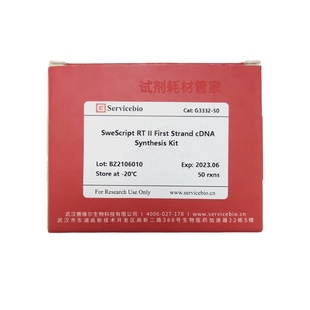 二代逆转录试剂盒用于PCR/RT-qPCR/cDNA文库构建/杂交反义RNA合成