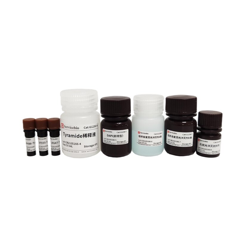 Servicebio适用切片免疫荧光多重染色 TSAPLus荧光三重染色试剂盒