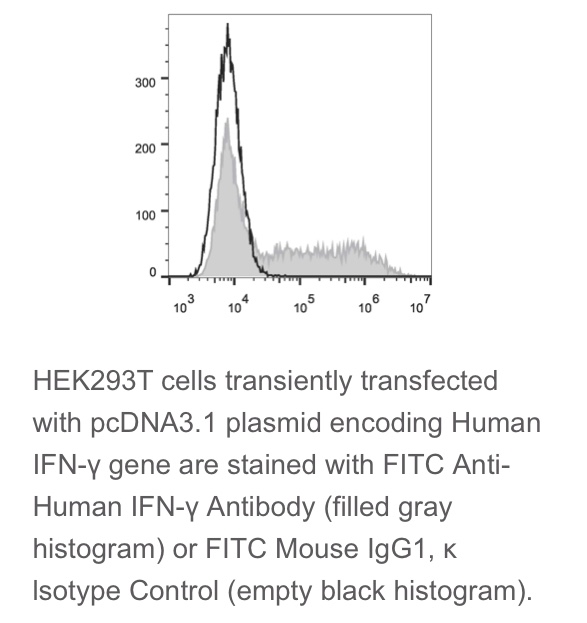 Elabscience® 人属Th1/Th2/Th17细胞 FITC 抗人IFN-γ抗体 [B27]