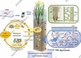 土壤蔗糖酶(S-SC)活性检测试剂盒Soil Saccharase Activity Assay