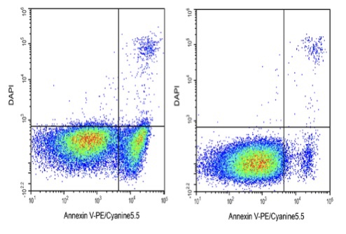 Elabscience®Annexin V-PE/Cyanine5.5染色液 E-CK-A125荧光标记