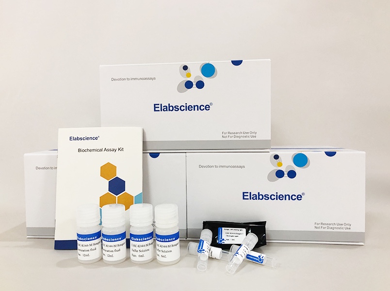 Elabscience®L-乳酸(LA)比色法测试盒E-BC-K044-M 酶标仪48T 96T
