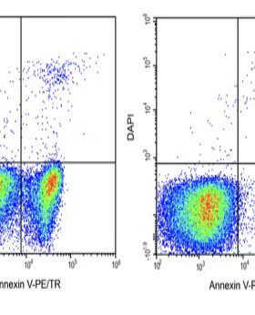 Elabscience®Annexin V-PE/TR 染色液 E-CK-A131 适用荧光标记