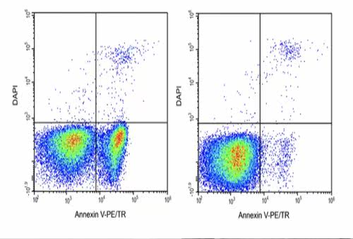 Elabscience®Annexin V-PE/TR 染色液 E-CK-A131 适用荧光标记