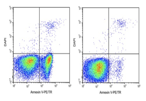 Elabscience®Annexin V-PE/TR/DAPI细胞凋亡检测试剂盒E-CK-A272