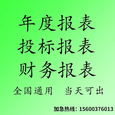 审计咨询公司投标年度报告财务报表模板专项验资审计资产评估咨询