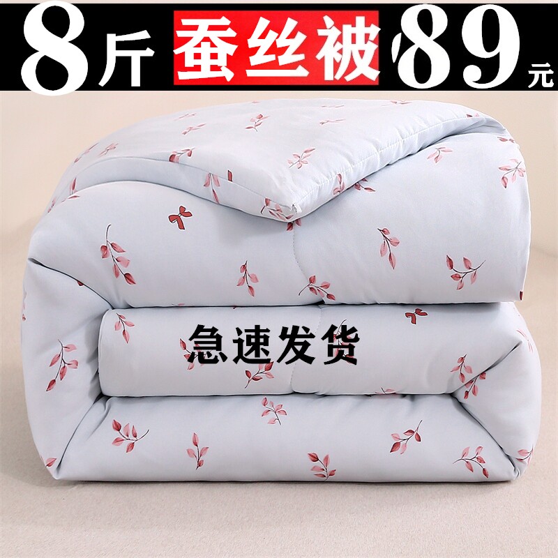 加厚蚕丝被冬被丝棉被芯保暖被子单双人春秋学生宿舍棉被四季批发