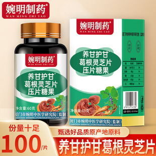 婉明制药牌养甘护甘葛根灵芝片肝菊花决明子西洋参咀嚼压片糖果