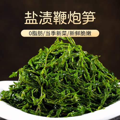 盐渍海藻马尾藻海带新鲜