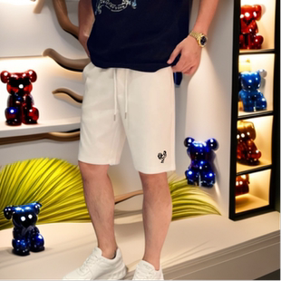 夏季 五分裤 新款 宽松百搭卫裤 美式 子情侣运动短裤 重磅休闲刺绣短裤