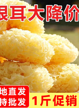 新货大花银耳500g干货无硫熏易出胶软糯古田银耳羹孕妇白木耳雪耳