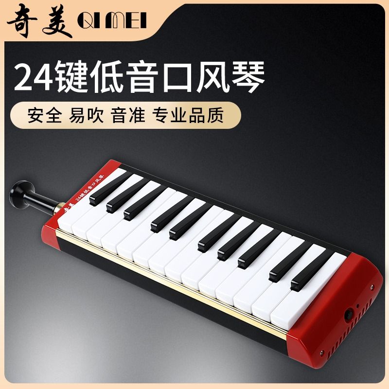 奇美低音口风琴24键乐团演奏表演