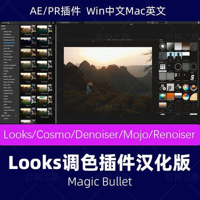 AE/PR插件looks调色视频预设汉化Magic Bullet滤镜素材2025winmac