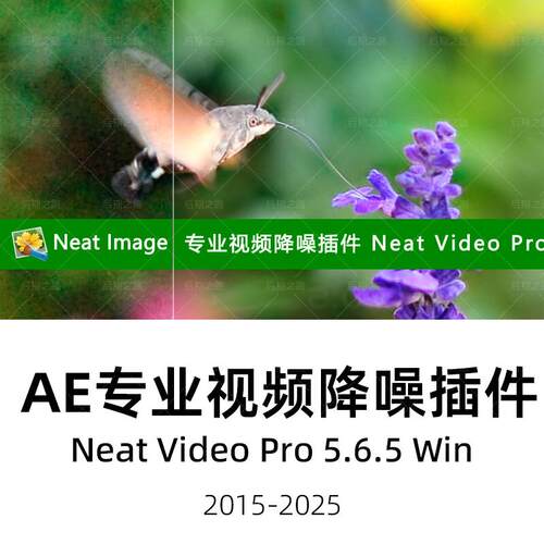 AE插件Neat Video Pro 5.6.5 Win中文汉化专业视频降噪插件