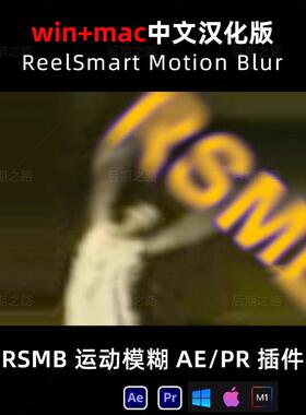 RSMB运动模糊AEPR插件中文汉化ReelSmart Motion Blur6.4 win/mac