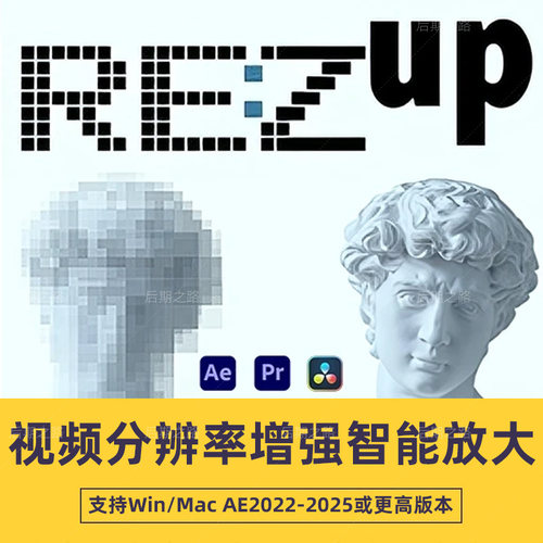 AE/PR视频分辨率增强智能放大插 REVisionFX REZup V2.0.1Win