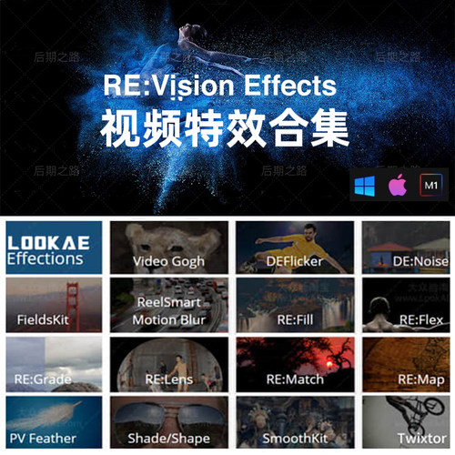 AE/PR视觉特效插件REVisionFX  Flicker/RE:Flex/RSMB/Twixtor