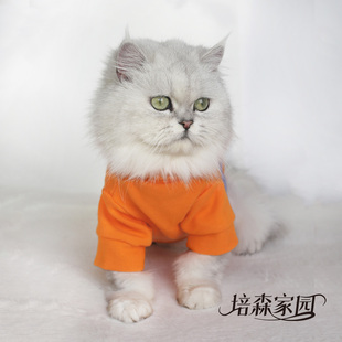 款 宠物猫狗卫衣加厚小型犬小猫咪狗狗衣服秋冬季 加厚