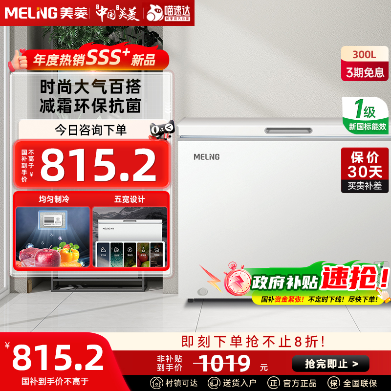 ɫ 300Lõҽ˪BC/Bd-300DT1019Ԫ
