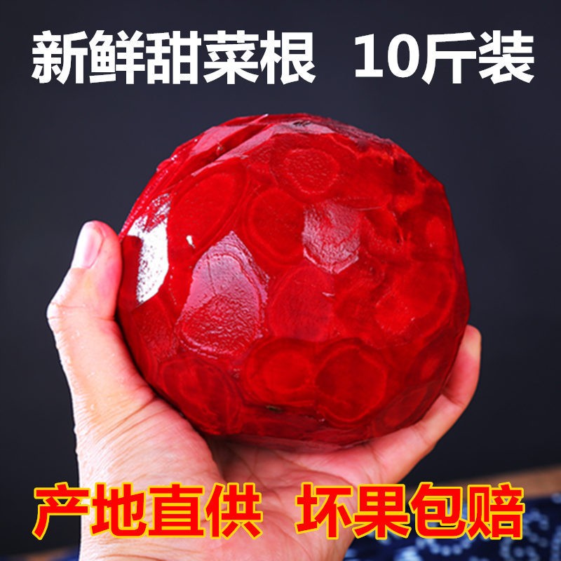甜菜根新鲜甜菜头红焰菜红菜头紫菜头农产品蔬菜现拨发货10斤装