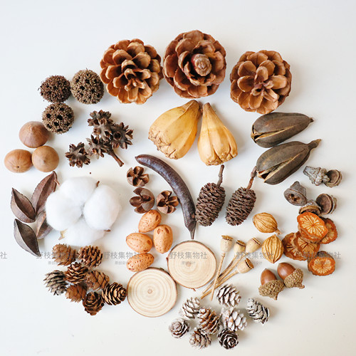 多款干花果壳松果diy材料