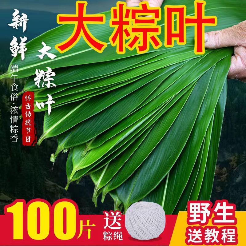 鲜粽叶真空装端午包粽子叶大号箬叶无添加大宽叶可送绳子柔韧性好