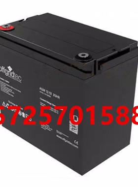 Offgridtec蓄电池AGM12-51医疗设备直流屏UPS电源专用12V51AH电池