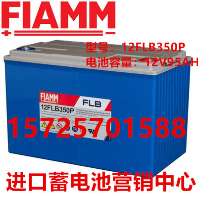 FIAMM蓄电池意大利用于发电厂