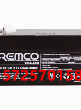 REMCO蓄电池 RM12-1.2/2/2.9S/3/4.5/5/7.2/9/12/17/18DC工业电池