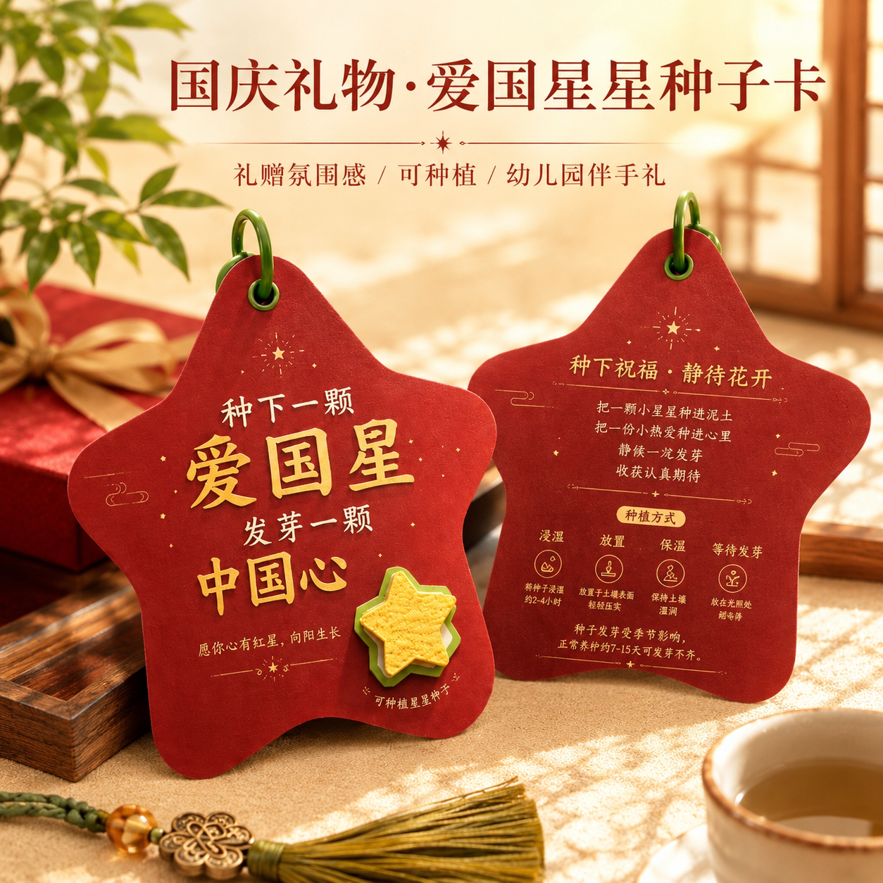国庆节礼物星星可发芽立体种子纸