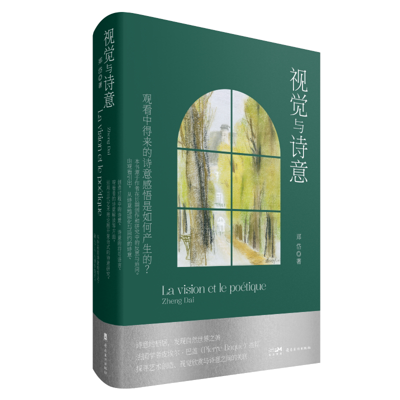 视觉与诗意郑岱著岭南美术出版社