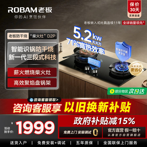 老板D2P防干烧超1级能效